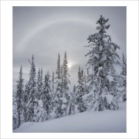 * :: Александр Иванов