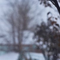 Снег пошёл :: Юрий Гайворонскiий