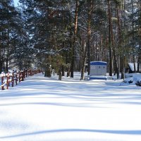 Зима в феврале. :: Милешкин Владимир Алексеевич 