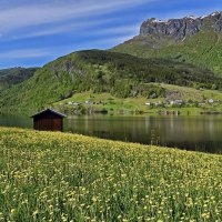 Ждём весну! :: Alexandеr P