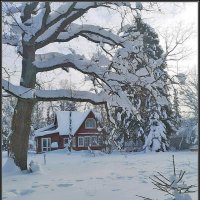 Дачный пейзаж :: Ольга Довженко