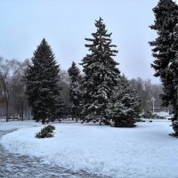 Ростов-на-Дону. Сквер Театральной площади зимой. :: Пётр Чернега