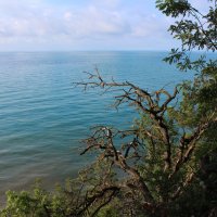 Море.. :: Александр. AVG100 ---