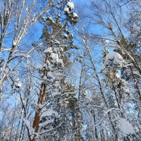 акробаты :: Владимир 
