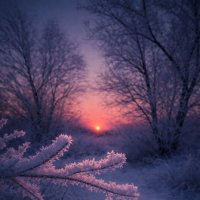 Мороз :: Евгений Анисимов