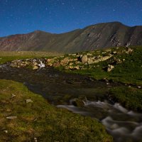 В лунную ночь :: Алексей 
