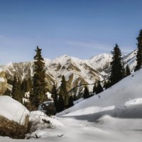 По первому снегу :: LudMila 