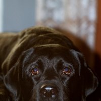 Юта :: Дмитрий П