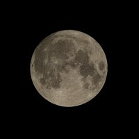 Привет Лунатики :: Дмитрий П