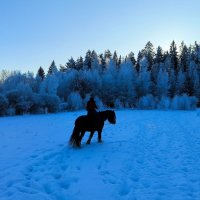 По заснеженным полям. :: Ольга 