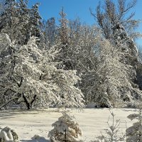 Почти  открытка...)))) :: Александр Герасенков