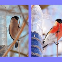 Пост сдан. Пост принят. :: Татьяна Помогалова