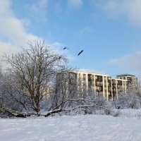 В парке Тондилоо :: Veera V