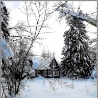 Зима на даче :: Ольга Довженко