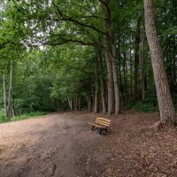 Уставшим путникам... :: Николай Гирш