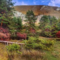 На природе :: Мариша 