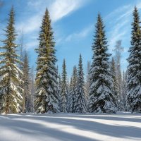 Зимнее творение природы :: Ravile 