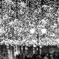 * :: Сергей Полянский