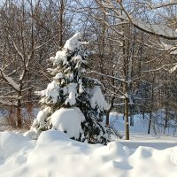 пирамида и лесу :: Владимир 