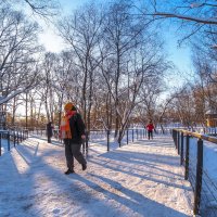 Прогулкив Зимнем Парке :: юрий поляков