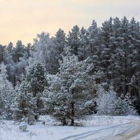 зима :: Владимир Зеленцов