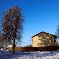 натура.... :: Сергей 