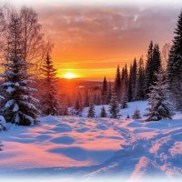 Зимний закат ... :: Валентина Надсон