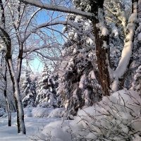 Волгоградская зима :: Олегъ Петрович