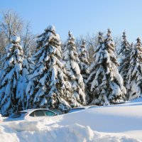 снежно :: НАТАЛЬЯ 