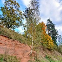 Стройная берёзка на крутом берегу. :: Лия ☼