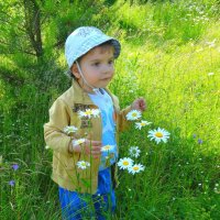 Рома собирает цветы для мамы. :: Наталья ***