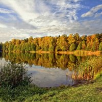 ... :: Вячеслав Минаев