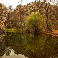 Чернореченский каньон. :: Сергей Воротников