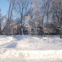 Сегодня в парке :: Galina Solovova