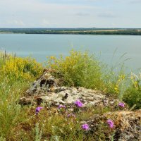 Новотроицкое водохранилище :: Надежда Куркина 