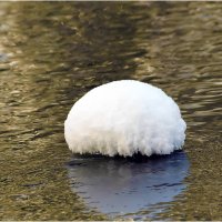 Пришелец :: Валентин Котляров Пришелец :: Валентин Котляров