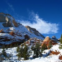 Зима в Национальном парке Зайон. :: unix (Илья Утропов)