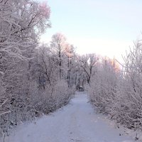 Зимнее :: VasiLina *