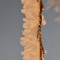 Иней Калининграда :: Михаил Свиденцов