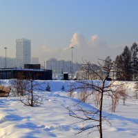 Зимний город :: Татьяна Лютаева