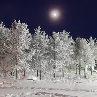 Ночь и тишина... :: Ольга 