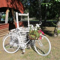 ........ :: Елена Шаламова