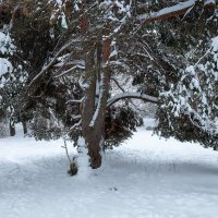 Зимний пейзаж со снеговиком :: Александр Синдерёв