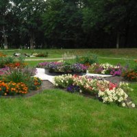 Клумба :: Елена Сухорученкова