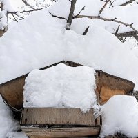 Февраль :: Hope 