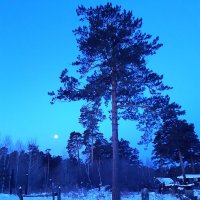 Лунные истории :: Галина Минчук