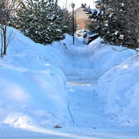 Снежный "тоннель" :: Светлана 