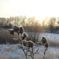 *** :: Александр. AVG100 ---