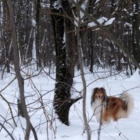 Любопытная! :: Люба 