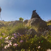 Путник :: Алексей 